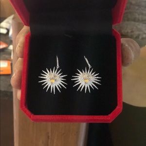 JCB vineyards The grape The start earrings